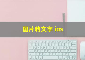 图片转文字 ios